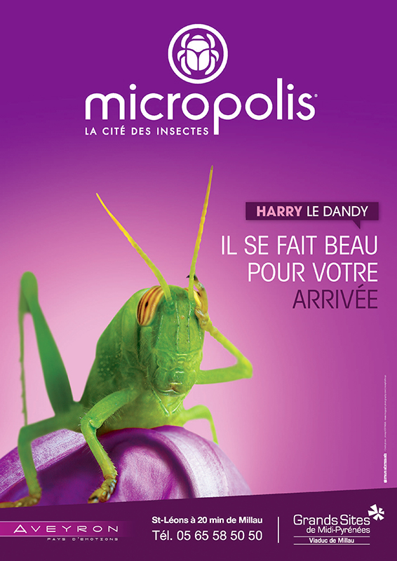 © Micropolis- Christian Bousquet 