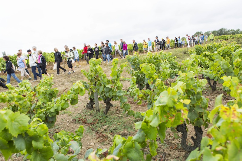 © S. Fremont / Interloire