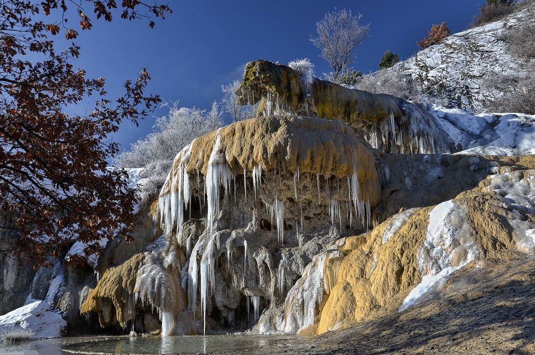 © Creative Communs - Caguouille05