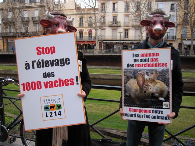 © Ethique & Animaux