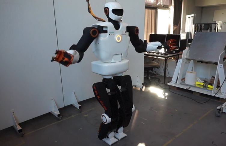 Pyrène © CNRS News